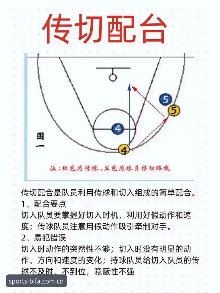 揭秘必发体育入口常见问题背后的真相：新手必看的避坑指南
